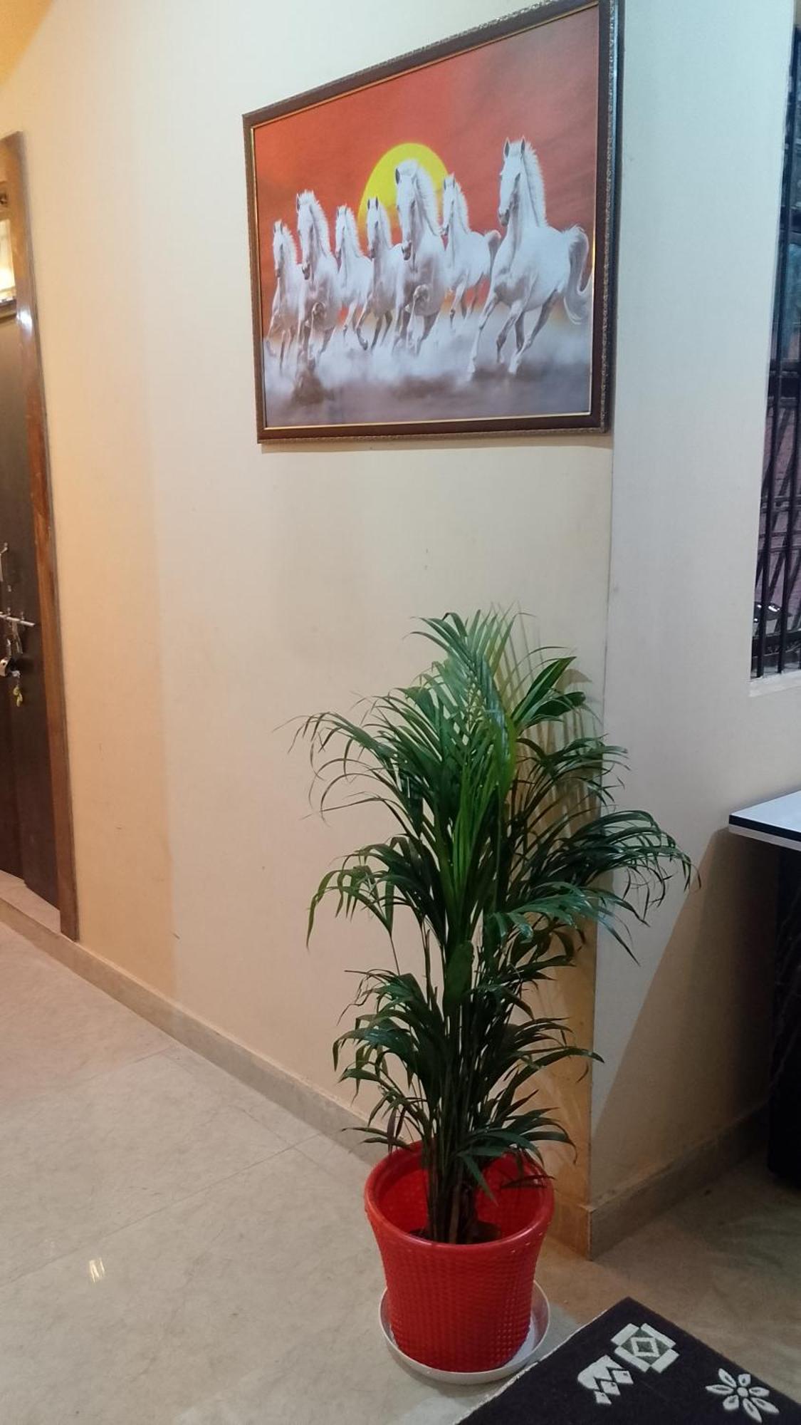 The Blessings Home Stay Agra  Extérieur photo